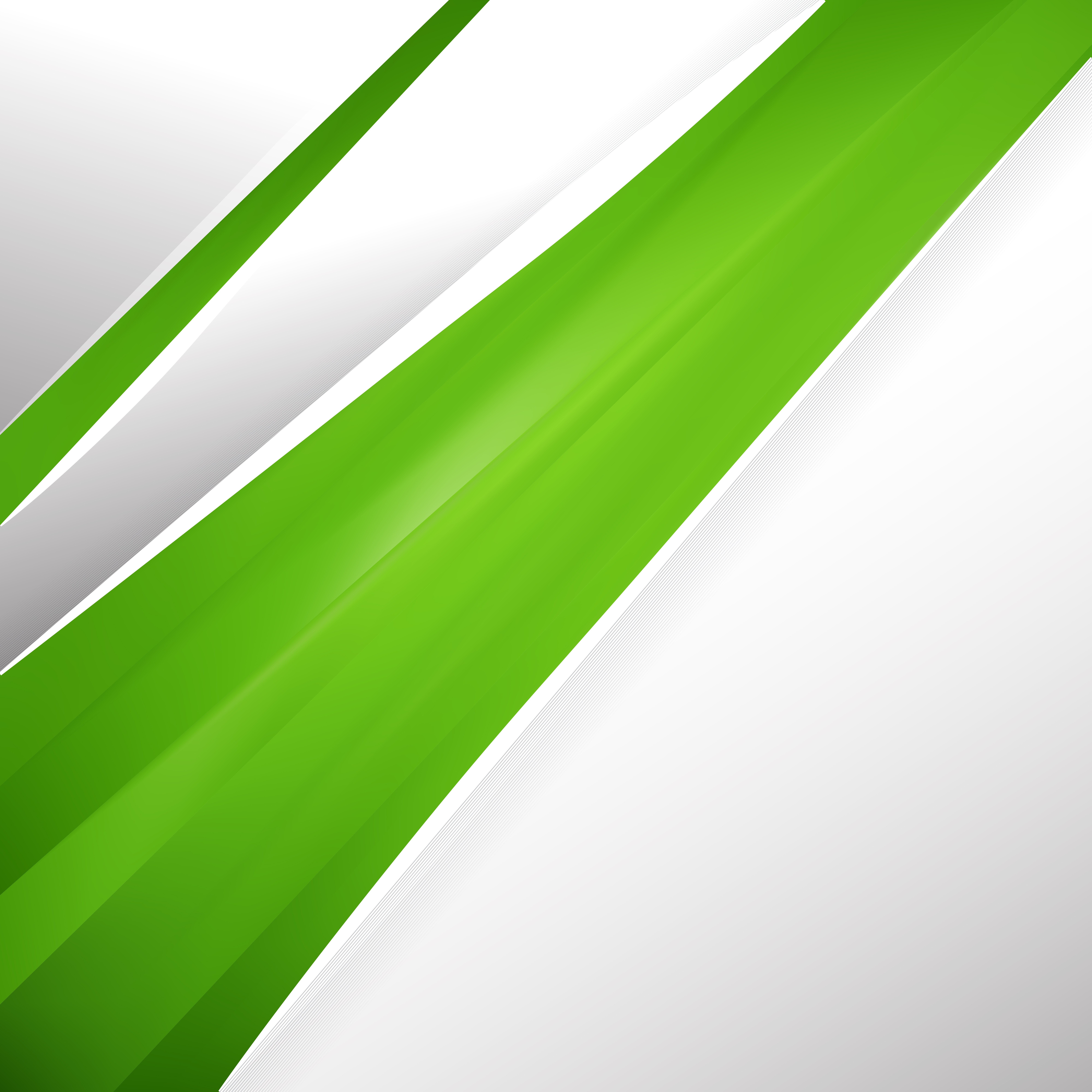 8000x8000 Lime Green Brochure Design Template Vector