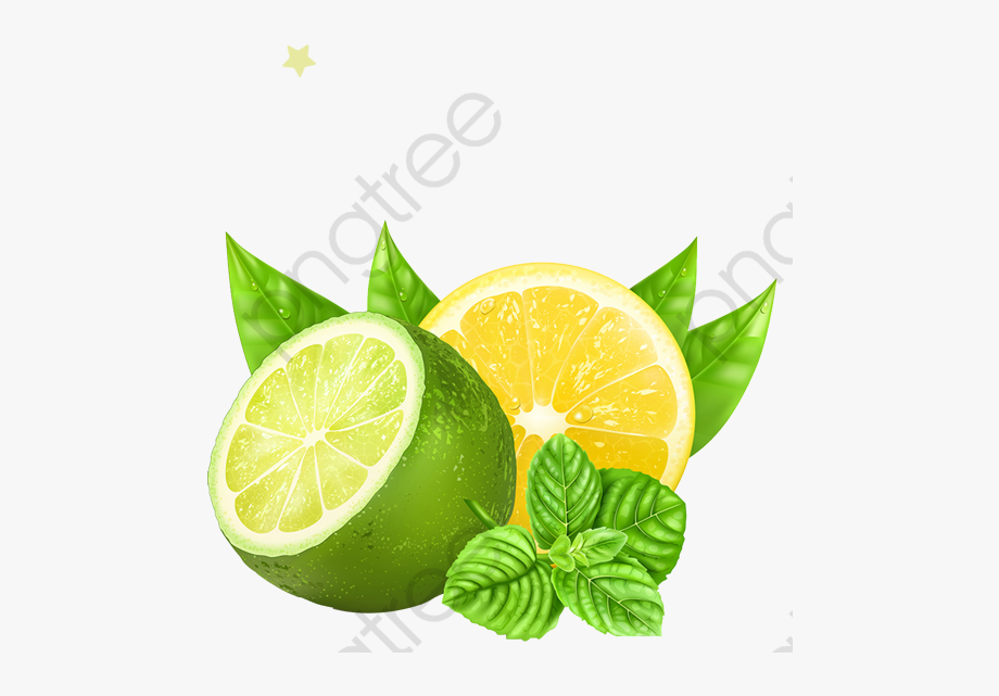 Lime Fruit Transparent 920x641 Lime Fruit Transparent