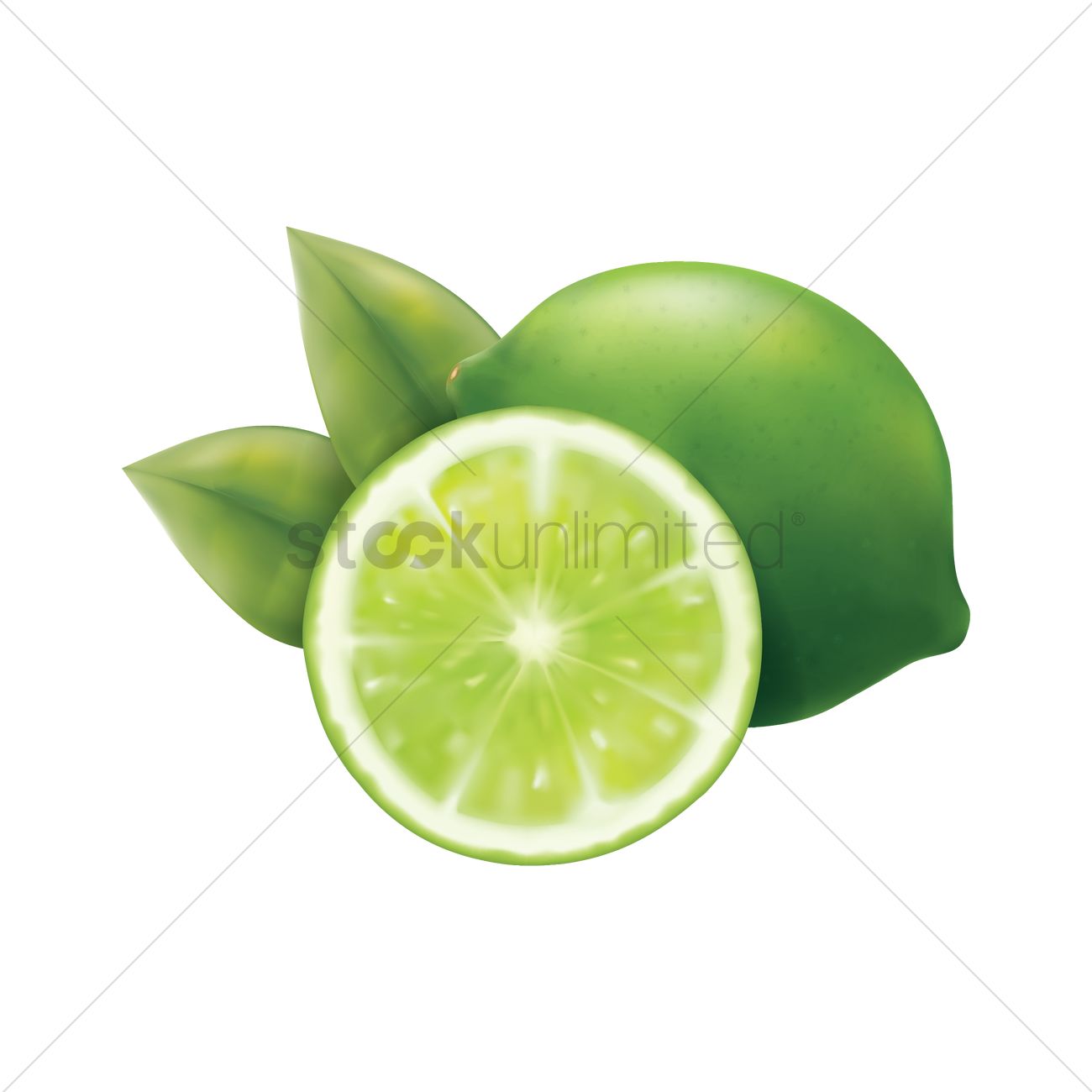 Lime Vector Image 1300x1300 Lime Vector Image