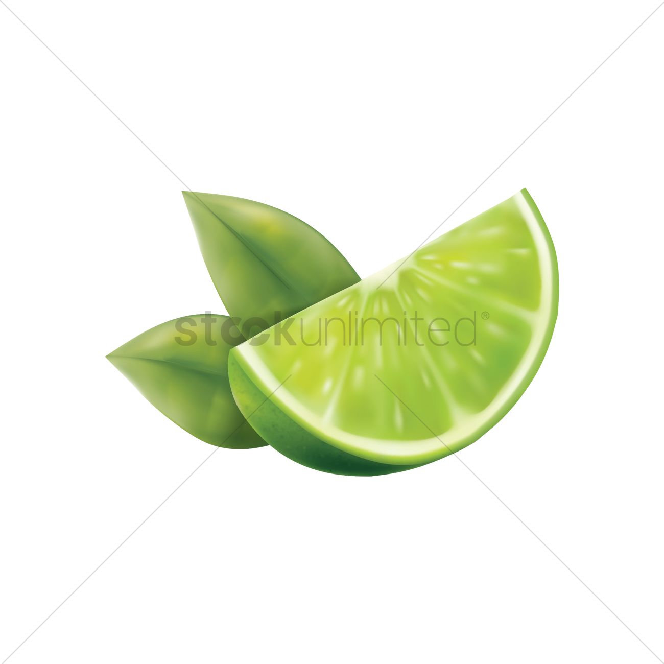 Lime Vector Image 1300x1300 Lime Vector Image