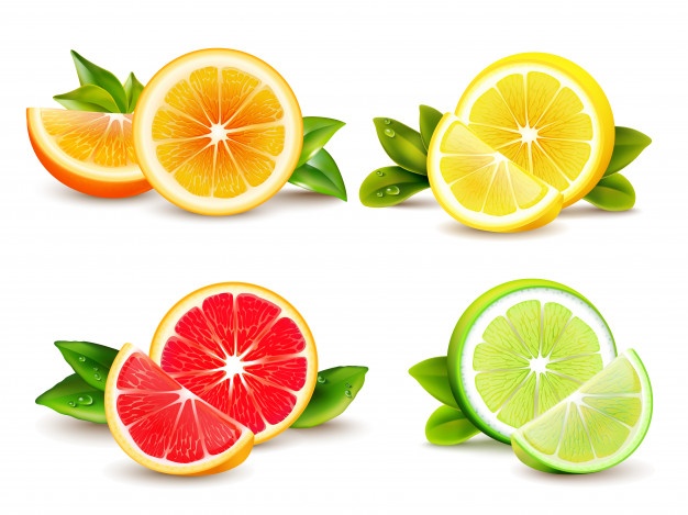 Lime Vectors, Photos And Free Download 626x469 Lime Vectors, Photos And Free Download