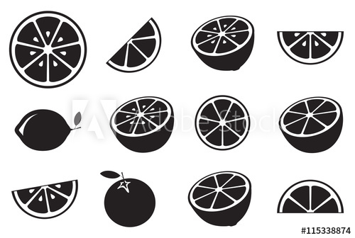 Collection Of Citrus Slices 500x336 Collection Of Citrus Slices