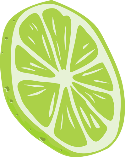 Lime Vector Drawing 398x500 Lime Vector Drawing