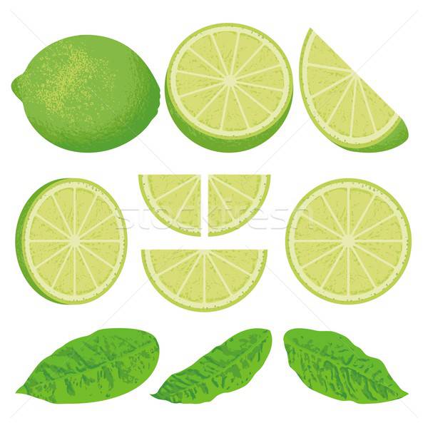 Lime Vector Illustration Sifis Diamantidis 600x600 Lime Vector Illustration Sifis Diamantidis