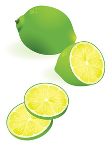 Lime Vector Illustration No Gradient Meshes Used Easy To Edit 226x300 Lime Vector Illustration No Gradient Meshes Used Easy To Edit