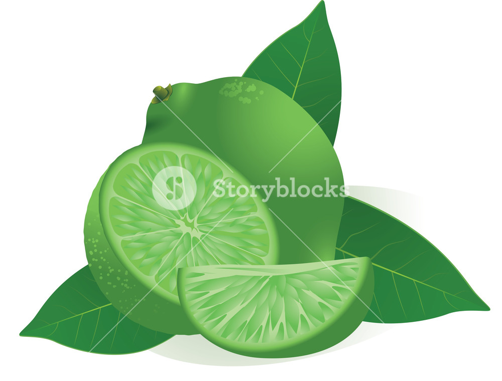 Lime Vector Royalty Free Stock Image 1000x760 Lime Vector Royalty Free Stock Image