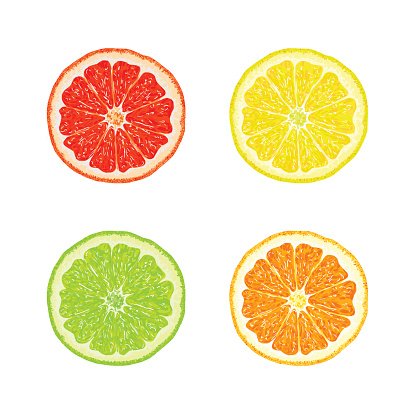 Segments Of Orange, Lemon, Lime, Vector Illustration Premium 416x416 Segments Of Orange, Lemon, Lime, Vector Illustration Premium