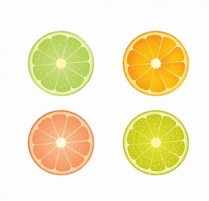 Vector Slices Of Lime And Orange Vector Art 425x408 Vector Slices Of Lime And Orange Vector Art