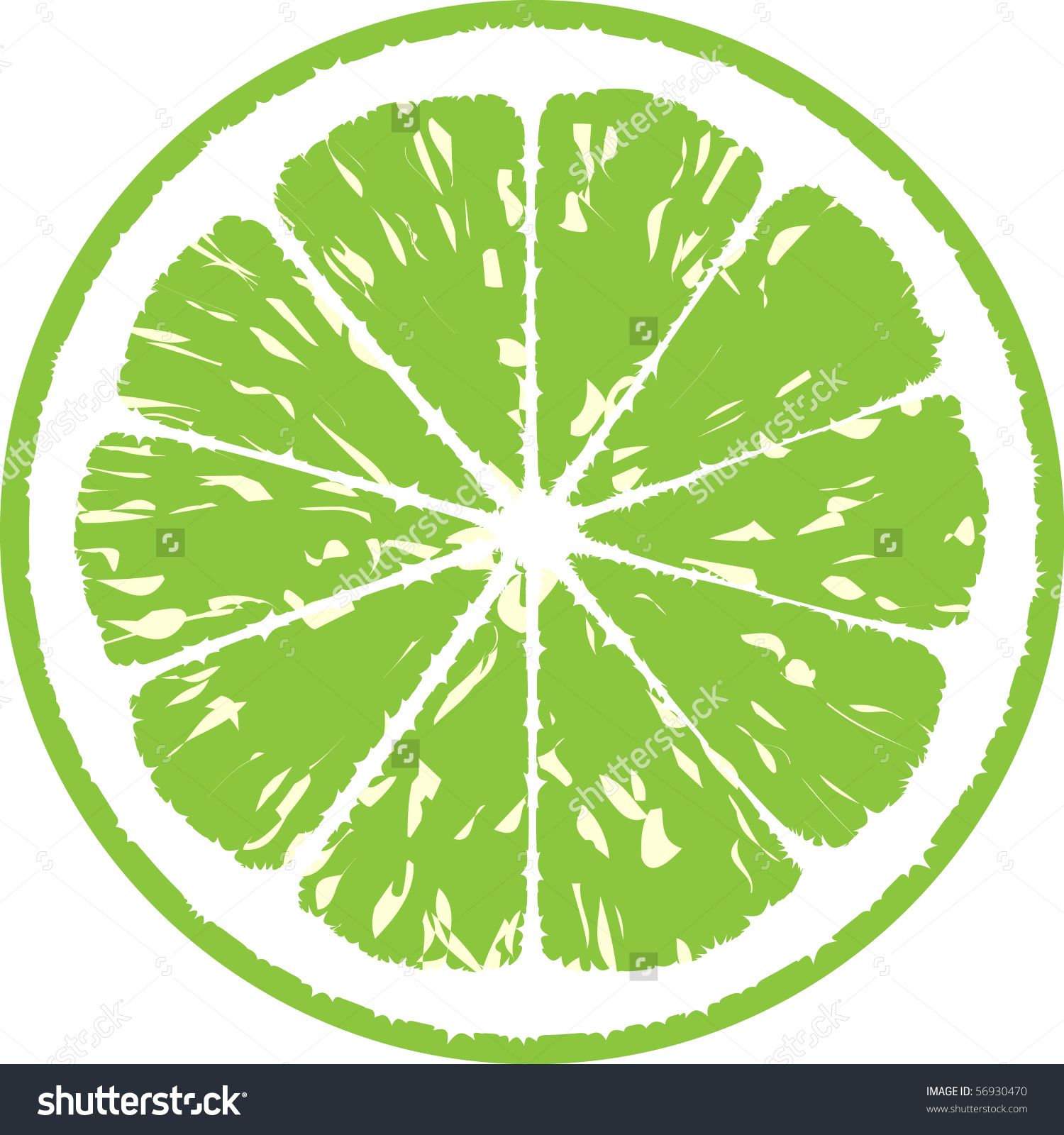 Lime Vector 1500x1600 Lime Vector