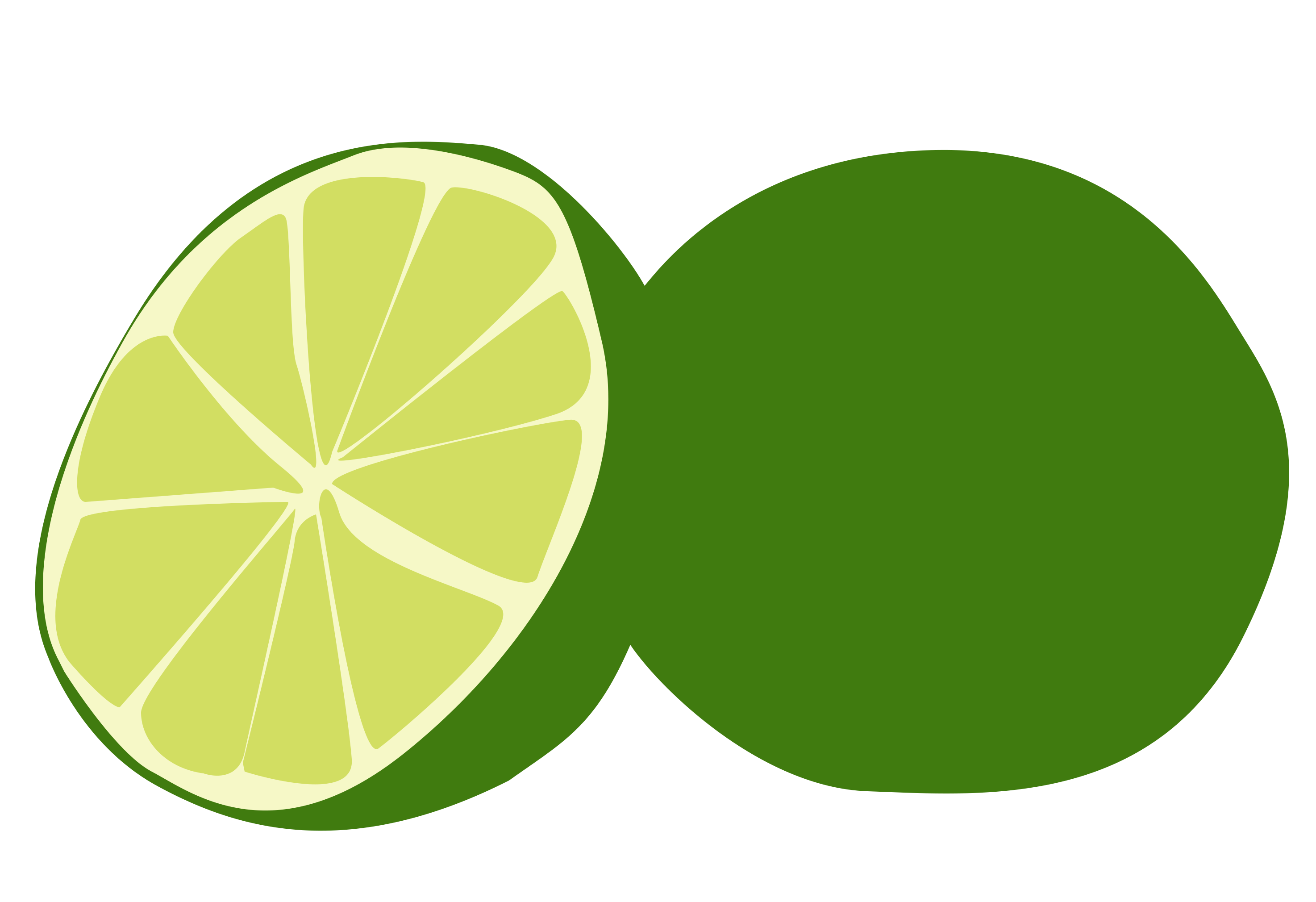 Lime Vector 2948x2020 Lime Vector