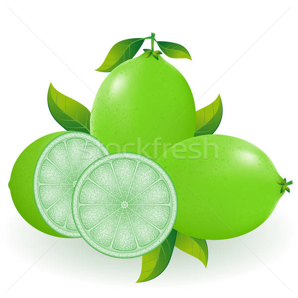 Lime Vector Illustration Vector Illustration Volodymyr 600x599 Lime Vector Illustration Vector Illustration Volodymyr