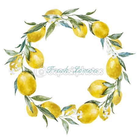 450x450 Marco De Vector De Stock Zeninaasya