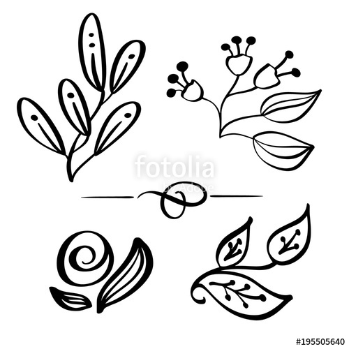 Set Hand Drawn Wild Flowers Branch Vector Drawing And Sketch 500x500 Set Hand Drawn Wild Flowers Branch Vector Drawing And Sketch