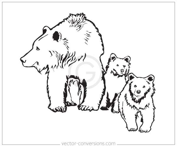 Vector Line Art Options 600x500 Vector Line Art Options