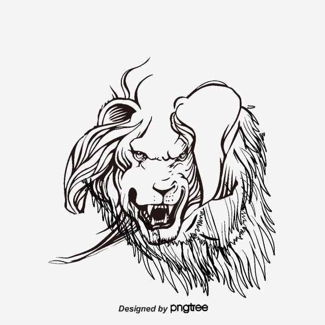 Lion Vector, Graphic Resources For Free Download 640x640 Lion Vector, Graphic Resources For Free Download