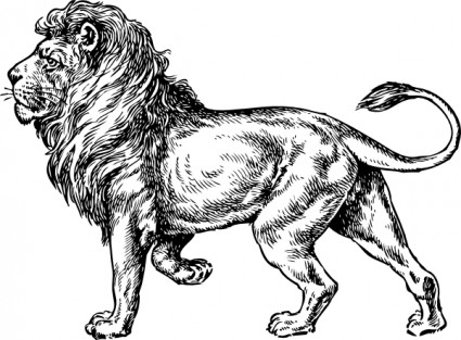 Lion Clip Art Free Vector In Open Office Drawing 425x313 Lion Clip Art Free Vector In Open Office Drawing