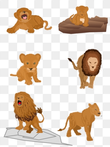 360x482 Lion Cub Png, Vector, And Clipart With Transparent Background