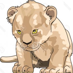 300x300 Young Lioness Lion Cub Color Vector Soidergi