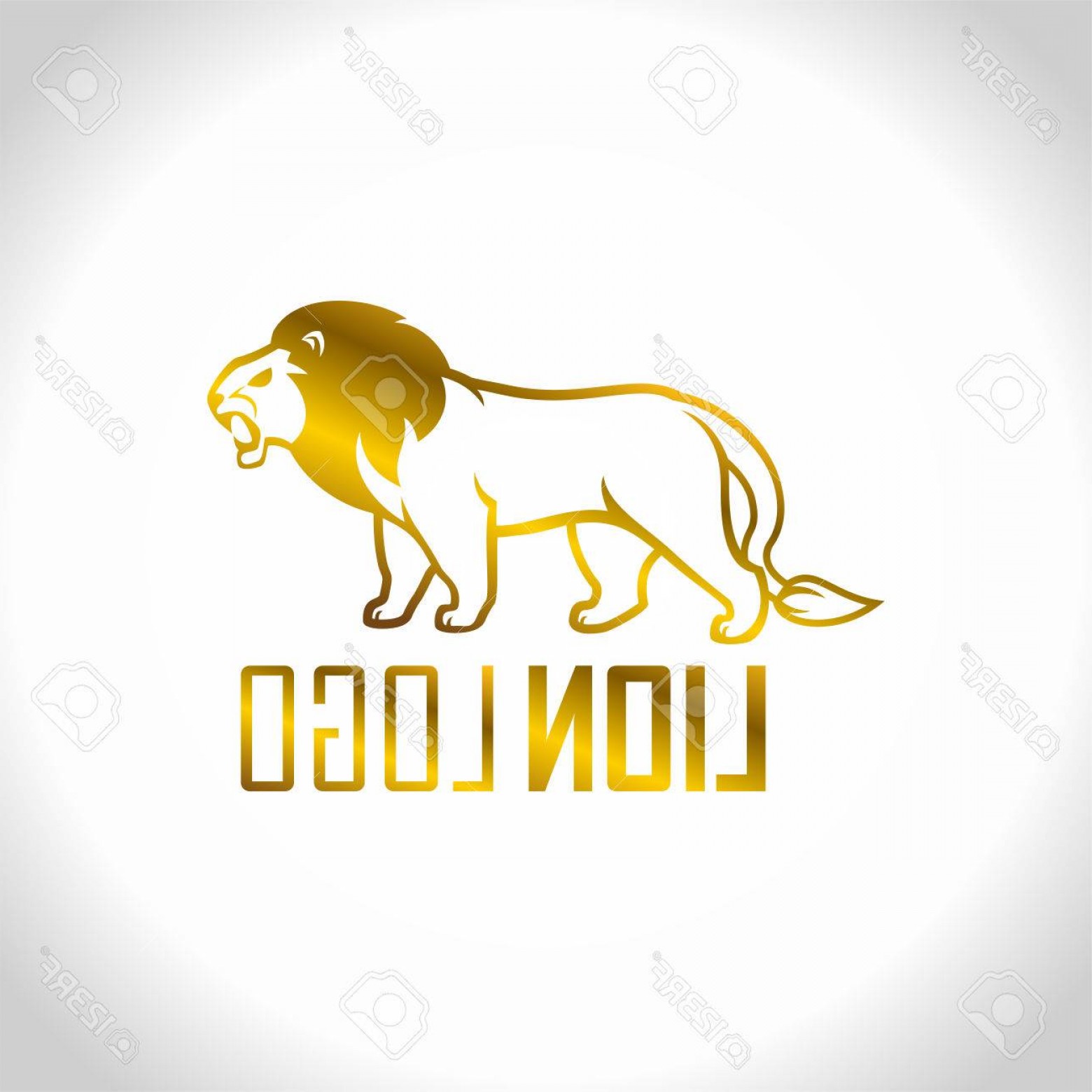 1560x1560 Photostock Vector Cool Golden Lion Vector Logo Emblem Cqrecords