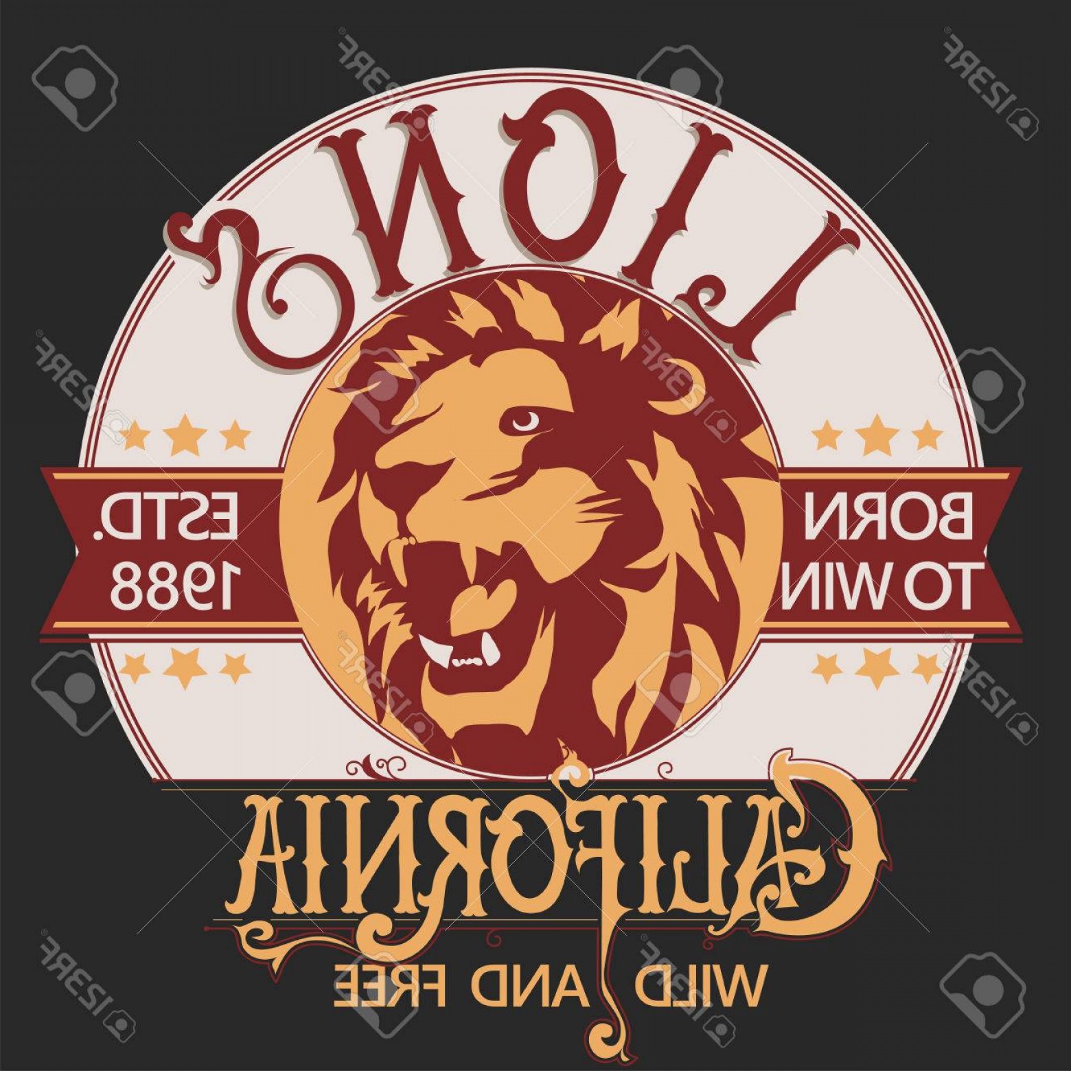 1560x1560 Lion Graphic Design Vectors Lamaison