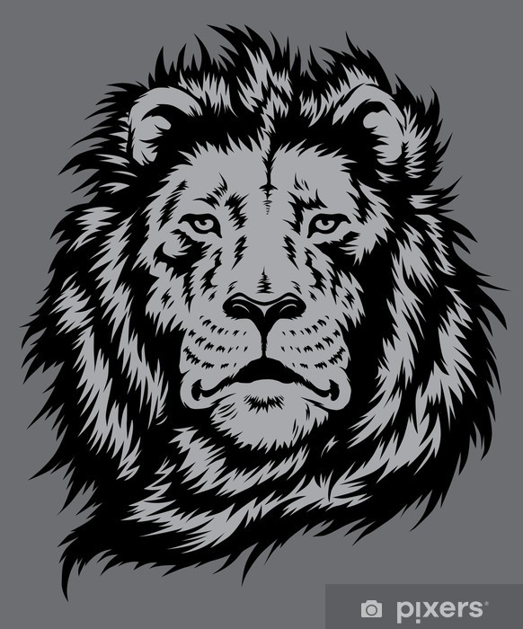 Lion Head Vector Wall Mural 582x700 Lion Head Vector Wall Mural