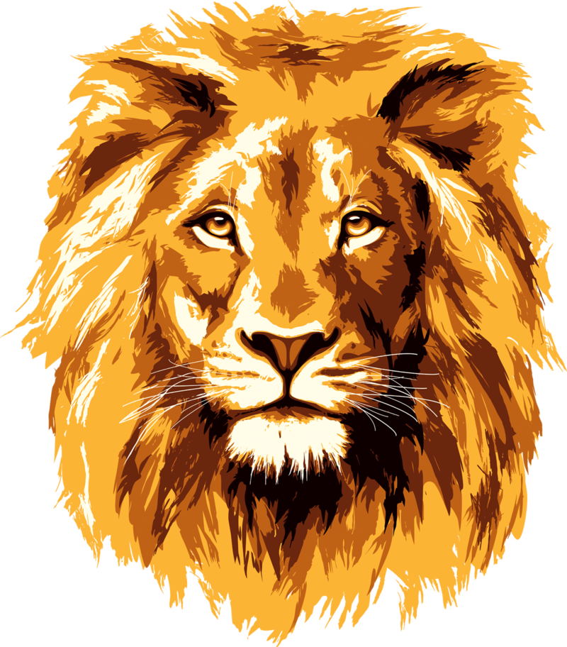 Download Free Png Golden Lion Face Vector, Imag 800x912 Download Free Png Golden Lion Face Vector, Imag