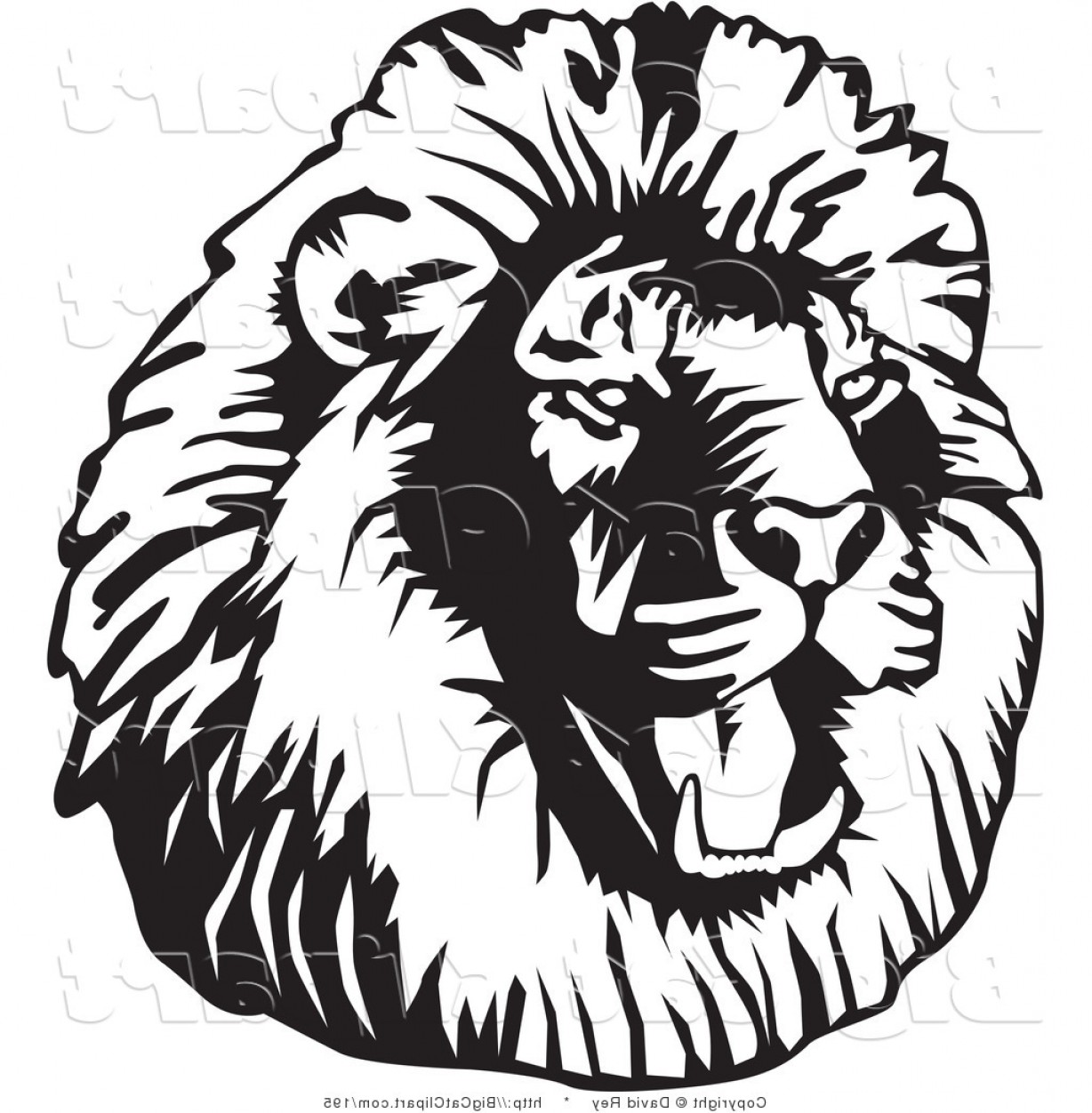 Big Cat Vector Clipart Of A Black And White Roaring Male Lion Head 1228x1252 Big Cat Vector Clipart Of A Black And White Roaring Male Lion Head