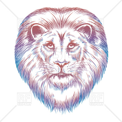 400x400 Colorful Hand Drawn Lion Head Vector Image Of Plants And Animals