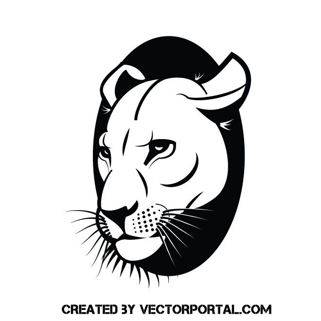 Lioness Vector Graphics Vectors Free Vector Graphics, Free 660x660 Lioness Vector Graphics Vectors Free Vector Graphics, Free