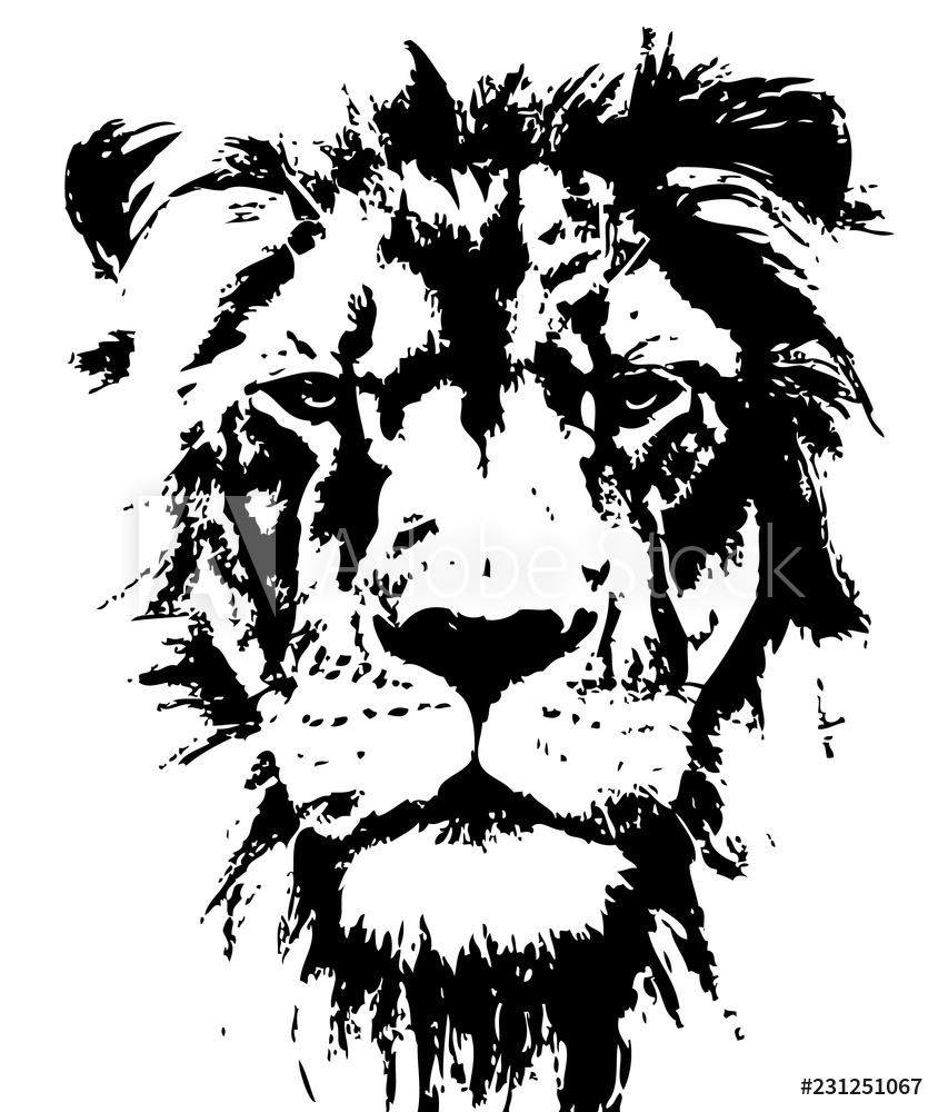 Photo Art Print Lion Head Vector Hand Drawn Europosters 844x1000 Photo Art Print Lion Head Vector Hand Drawn Europosters