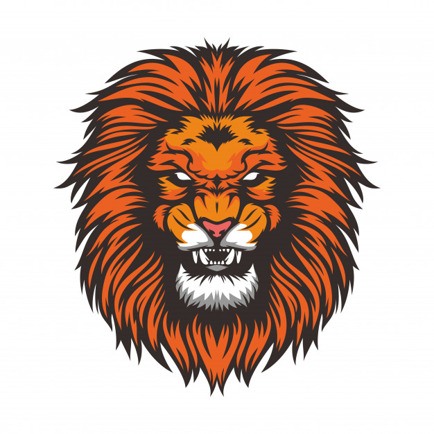 Lion Png Clipart Free Download 626x626 Lion Png Clipart Free Download