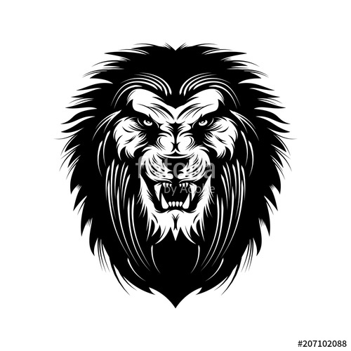 Angry Lion Head Vector Illustration Stock Image And Royalty Free 500x500 Angry Lion Head Vector Illustration Stock Image And Royalty Free