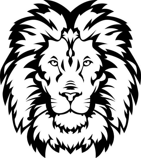 570x642 Lion