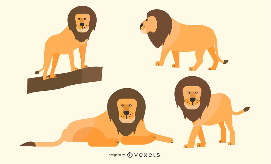 900x546 Flat Lion Illustration Set