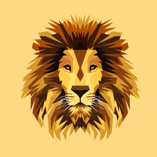 626x626 Amazing Lion Vector Illustration Vector Premium Download