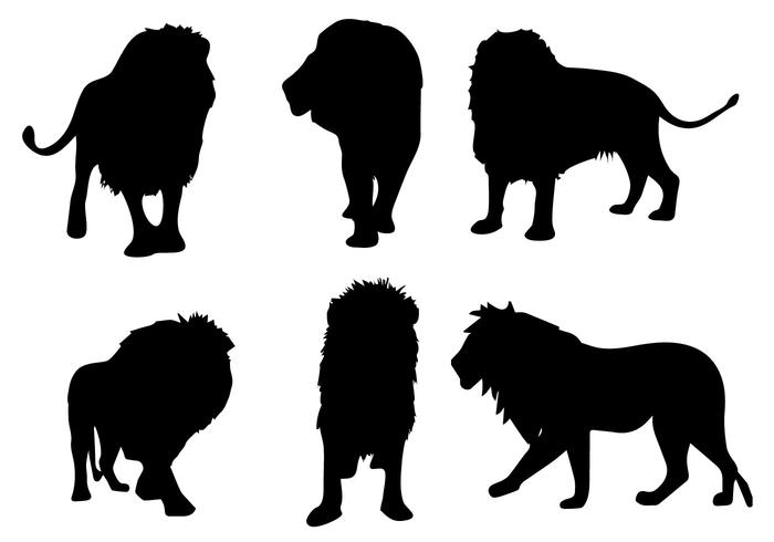 Lion Free Vector Art 700x490 Lion Free Vector Art