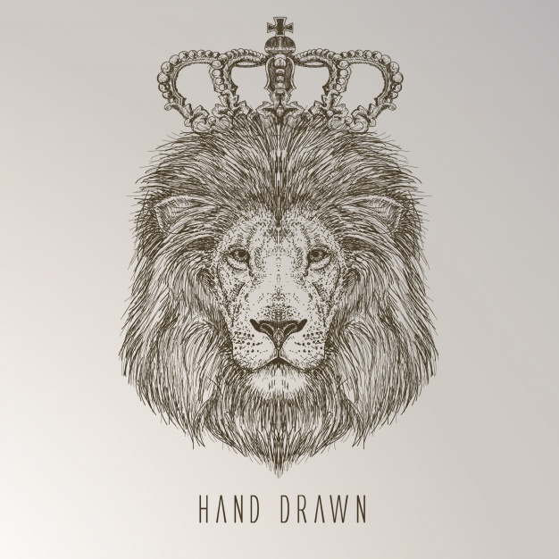 626x626 Hand Drawn Lion King Vector Free Download