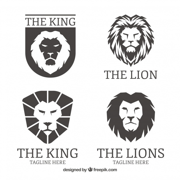 626x626 Lion Vectors, Photos And Free Download