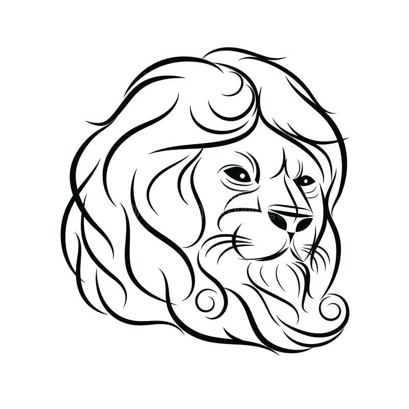 800x800 Lion Outline Drawing Tiger Or Lion Head In Black Outline Vector