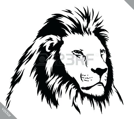 450x399 Lion Drawing Outline