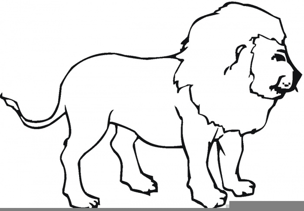 600x417 Download Free Png Lion Clipart Outline Free Images