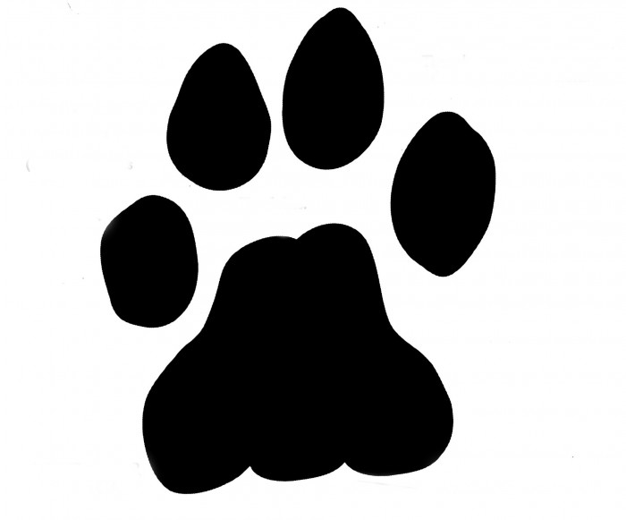 Lion Paw Print Vector at Collection of Lion Paw Print