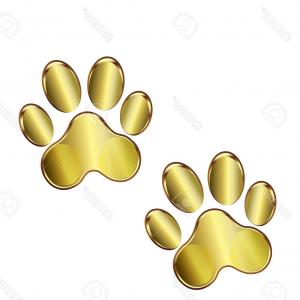 300x300 Lion Paw Print Vector Icon Createmepink