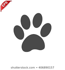 Free Free 210 Lion Paw Print Svg SVG PNG EPS DXF File
