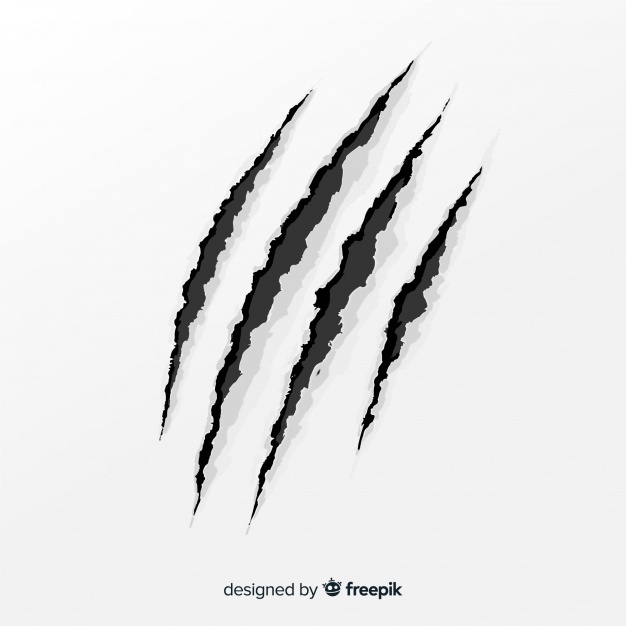 626x626 Paw Vectors, Photos And Free Download