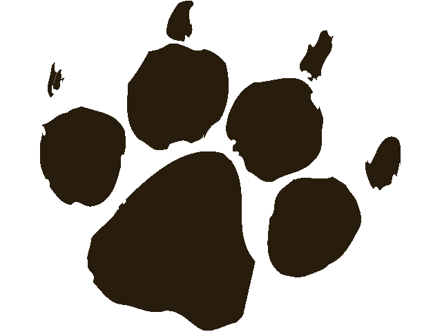 640x480 Lion Paw Print