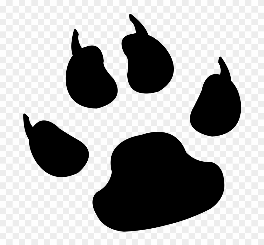 Lion Paw Vector at Vectorified.com | Collection of Lion Paw Vector free