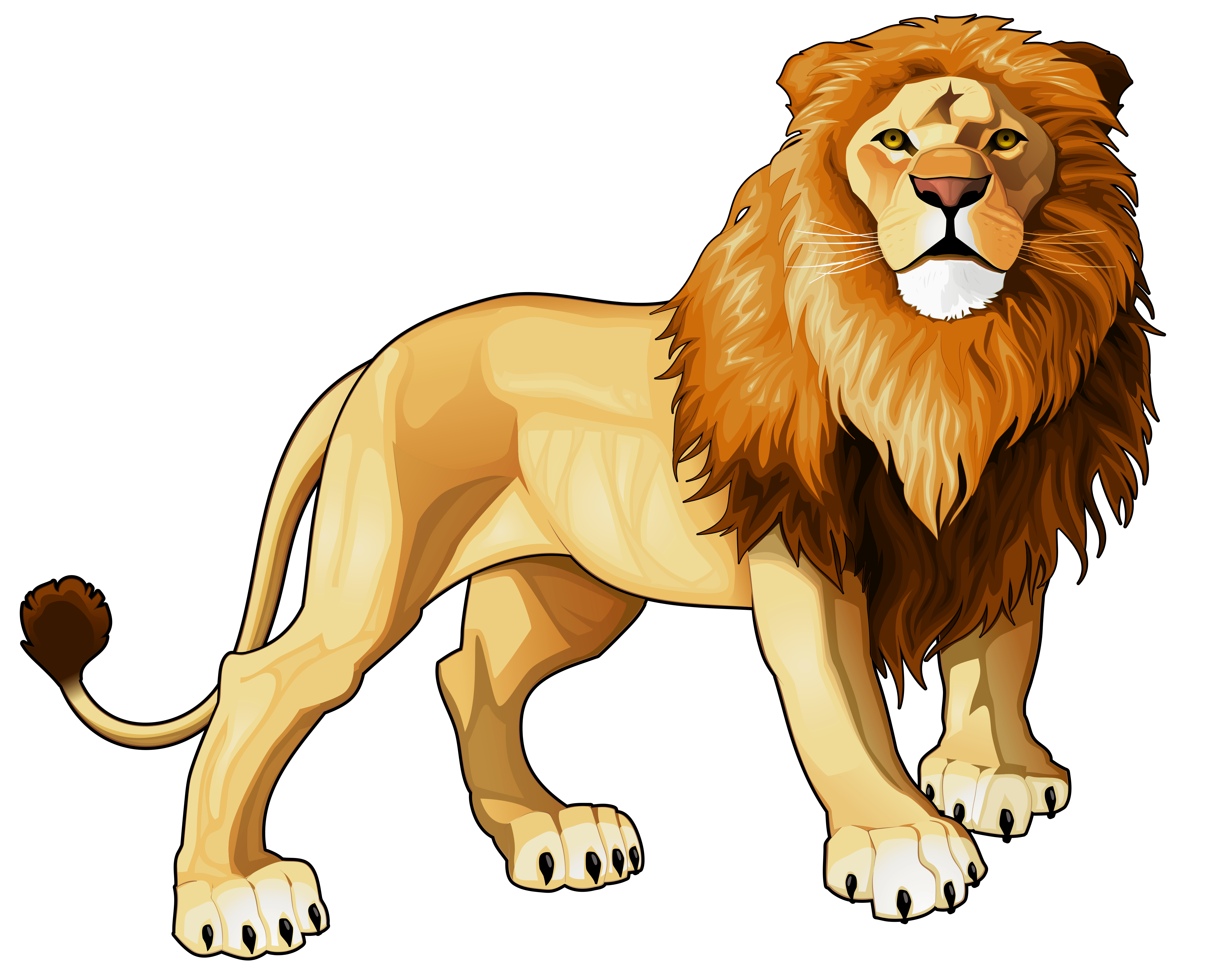 5000x3963 Free Lion Png Hd Transparent Lion Hd Images