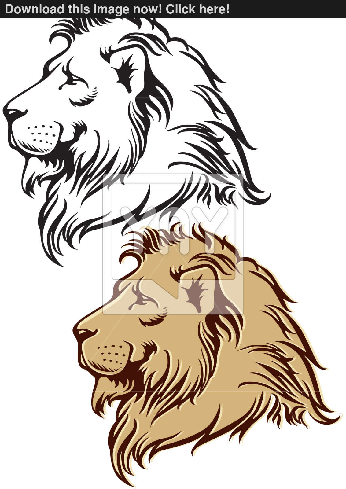 1132x1600 Lion In Profile Vector