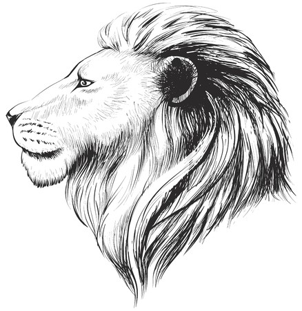 438x450 Isolated Lions Head, Stylized Line Linear Art, Vector